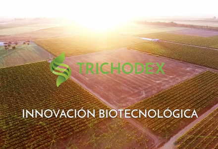 Vídeo presentación de la empresa de biotecnología Trichodex